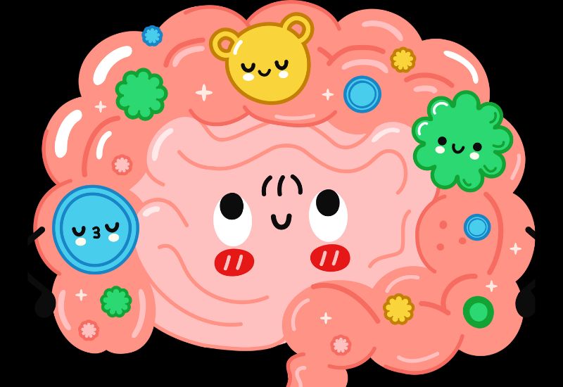 Loại bỏ hại khuẩn khỏi đường ruột