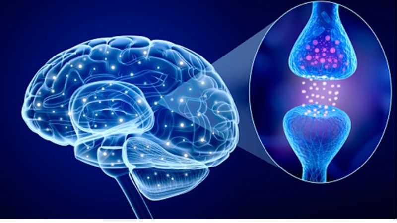 benh-parkinson-la-gi-nguyen-nhan-dau-hieu-nhan-biet-va-cach-dieu-tri-5