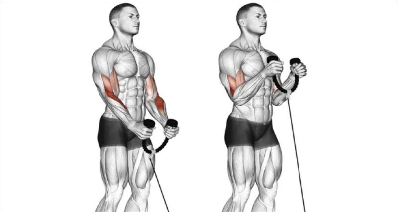 Đây là bài tập cần thực hiện cùng với dây cáp chuyên dụng