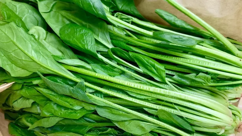 Cải bó xôi chứa nhiều hàm lượng folate (vitamin B9) giảm bớt bệnh Hangover