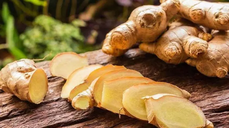 Gừng có tác dụng giảm bớt triệu chứng buồn nôn, đau dạ dày sau khi uống rượu bia