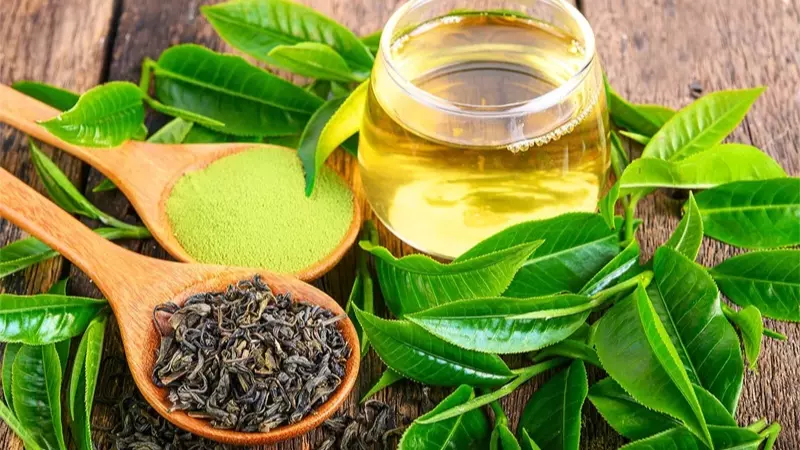 Hợp chất trong trà xanh có tác dụng làm giảm nồng độ cồn trong máu