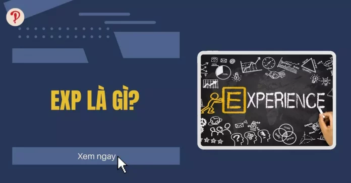 exp là gì