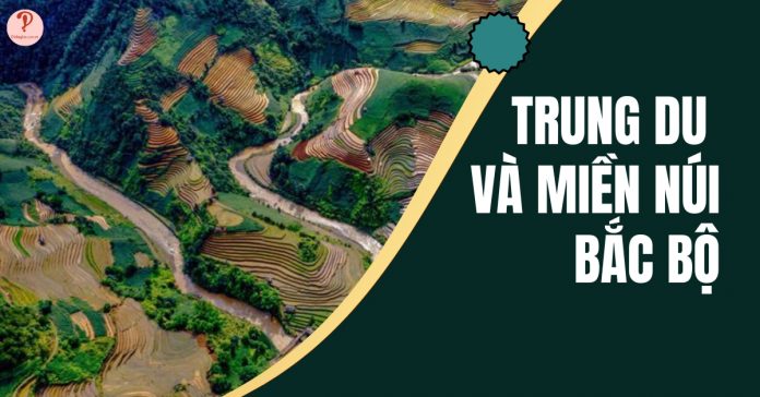 Trung du và miền núi Bắc Bộ: Đặc điểm địa hình, Tình hình kinh tế, Dân cư xã hội