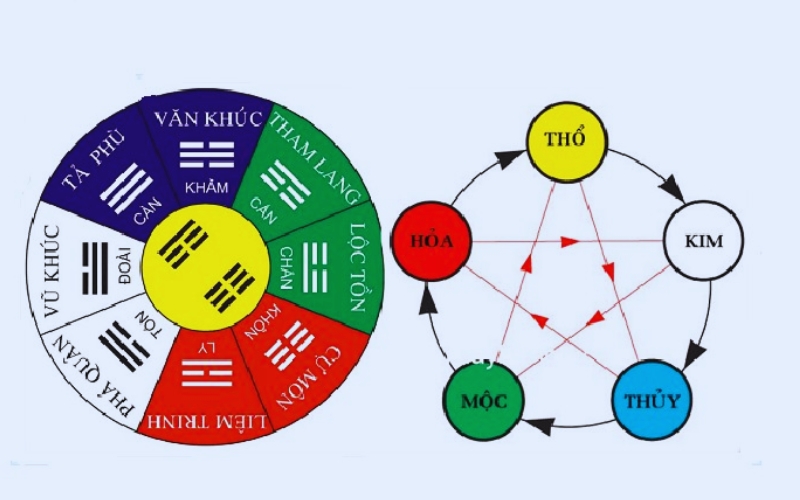 Phân biệt cung phi và cung sinh