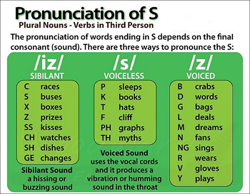 Cách phát âm “s” và “es”