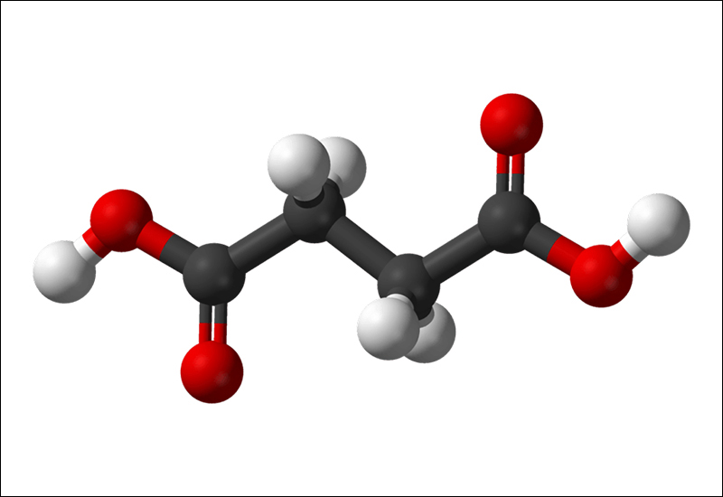 Axit succinic (C4H6O4)