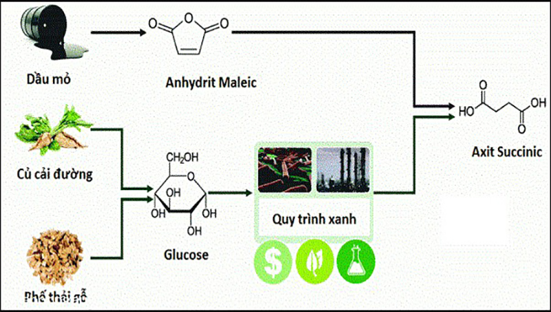 Điều chế axit succinic