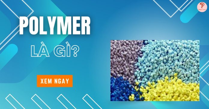 Polymer là gì? Tính chất và ứng dụng của Polyme trong cuộc sống