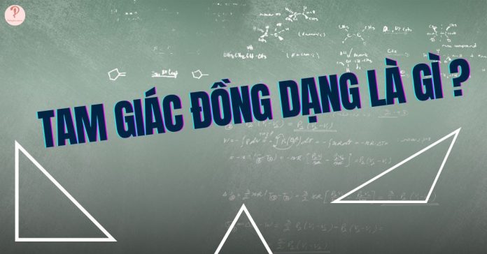 Tam giác đồng dạng là gì?