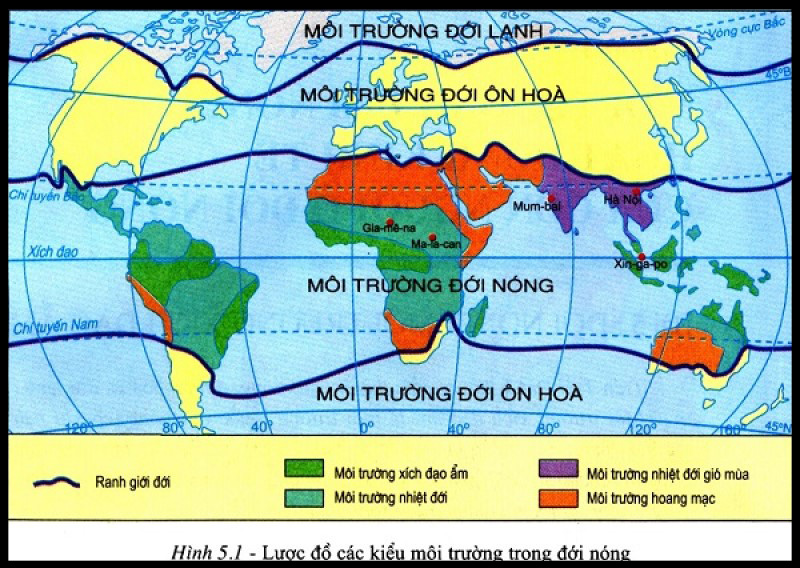 Vị trí môi trường đới ôn hoà