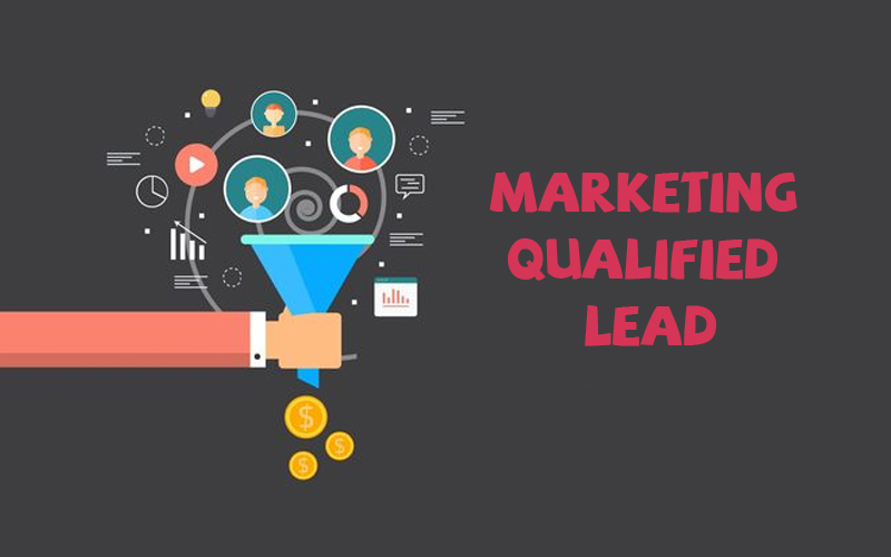 Marketing qualified lead (MQL) có khả năng trở thành người mua hàng 