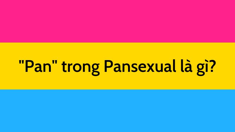 tiền tố pan trong pansexual có nghĩa là tất cả