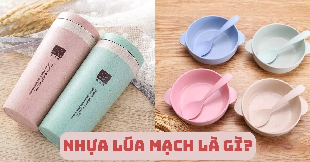 nhựa lúa mạch là gì