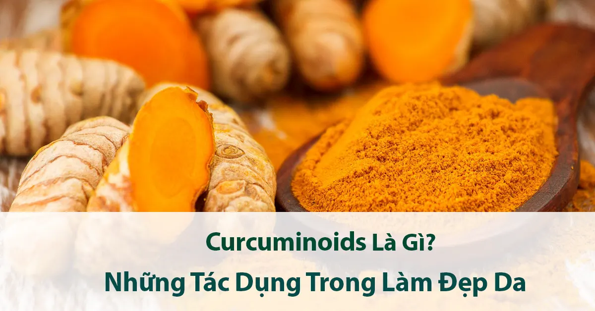 Curcuminoids là gì? Những tác dụng trong làm đẹp da