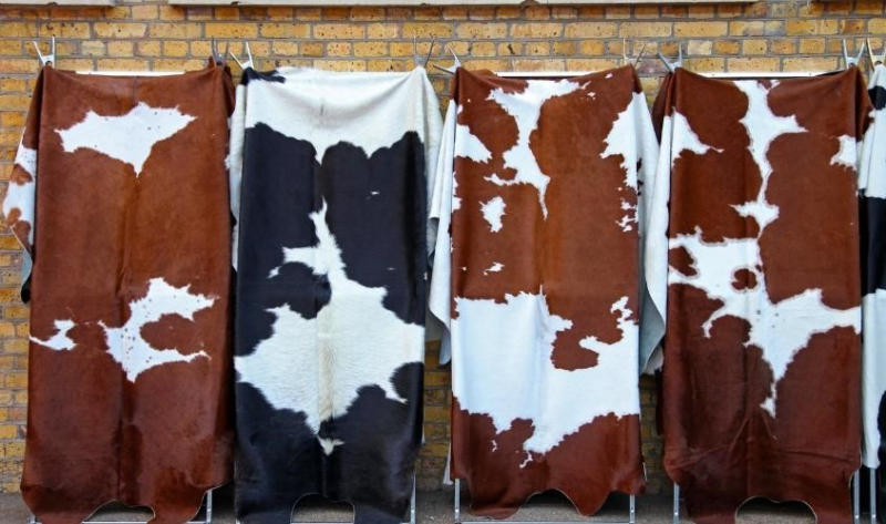 Chất liệu Cowhide Leather