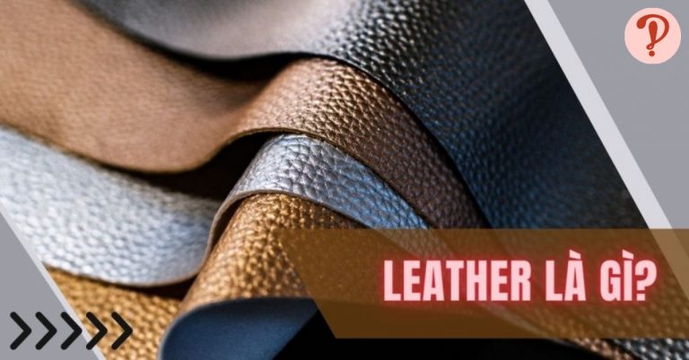 Leather là gì? Top các loại da leather phổ biến nhất hiện nay