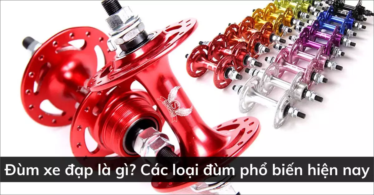 đùm xe đạp là gì