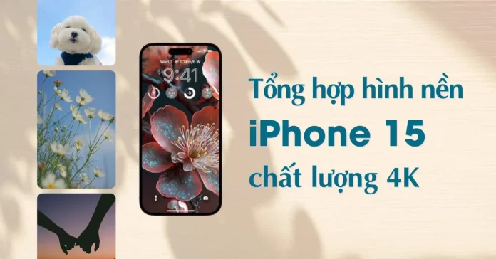 Hình nền iPhone 15 và iPhone 15 Promax 4K hot nhất