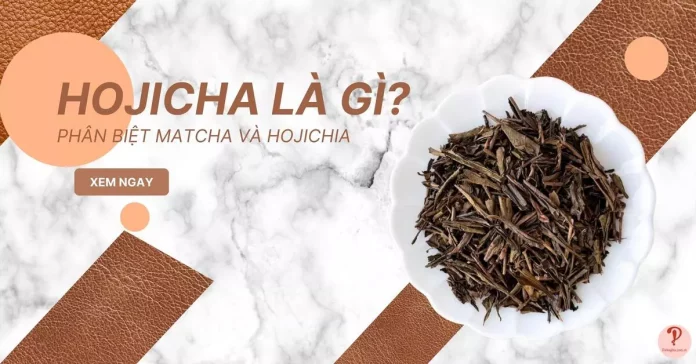 hojicha-la-gi