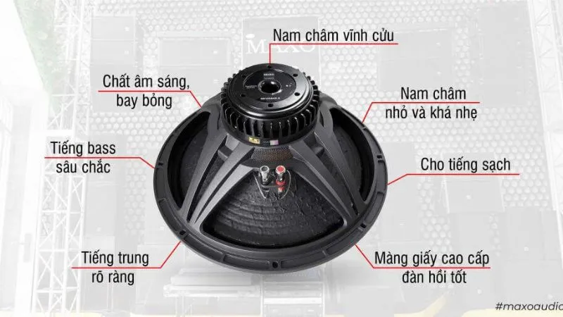 Cấu tạo của loa từ Neo thường gồm 2 phần chính