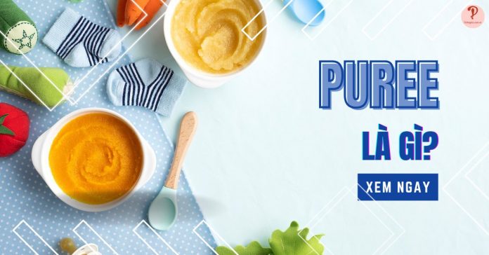 Puree là gì? 10 loại Puree thường dùng trong pha chế và nấu ăn