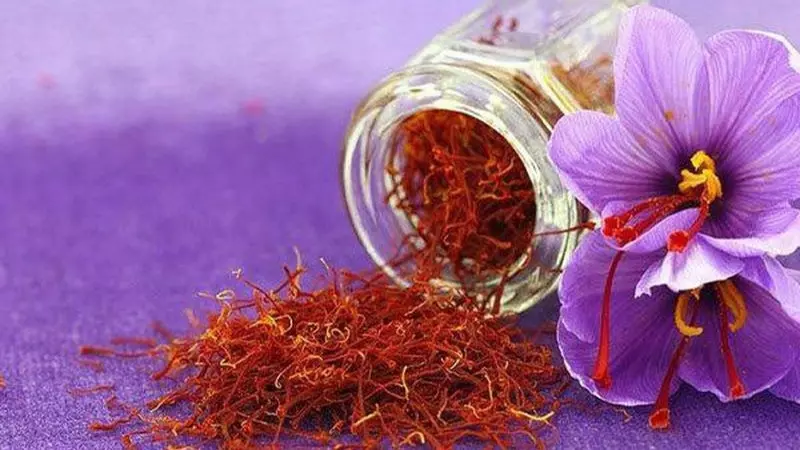 Nếu dùng saffron quá liều có thể gây hại cho phổi, thận