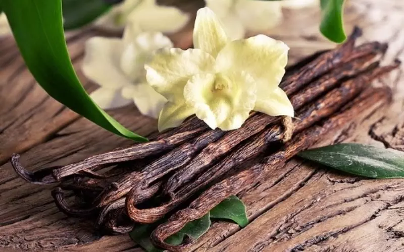 Vanilla có khá nhiều công dụng