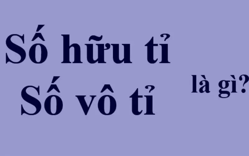 Trong tập hượp R ẽ có tập hợp số hữu tỉ và tập hợp số vô tỉ