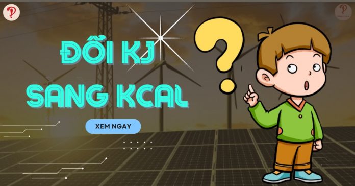 KJ đổi sang Kcal