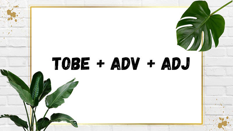 Cấu trúc "tobe + adverb + adjective"