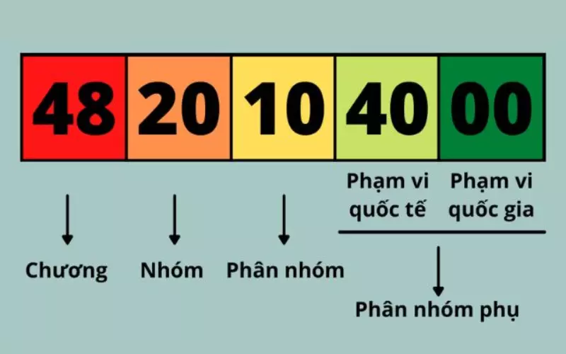 Tất cả hàng hóa khi được được xuất hoặc nhập cảnh vào Việt Nam đều phải có mã HS