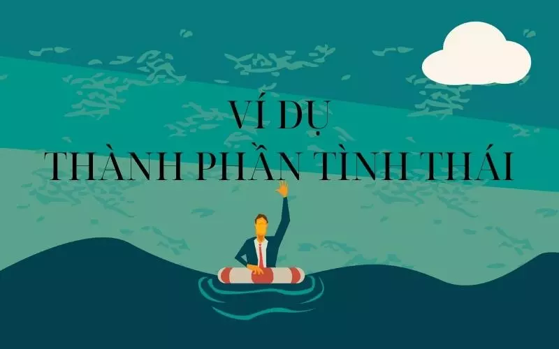 Các ví dụ của thành phần tình thái