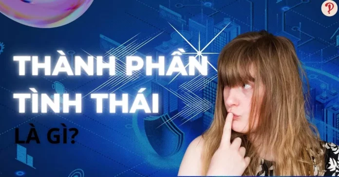 Thành phần tình thái là gì?