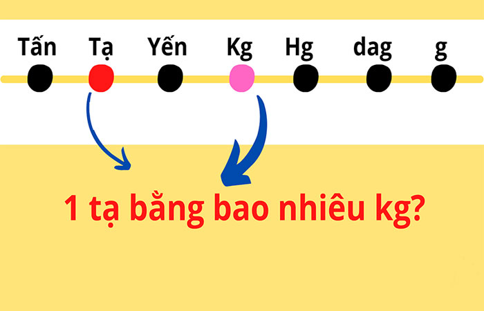 Quy đổi tạ sang các đơn vị khối lượng