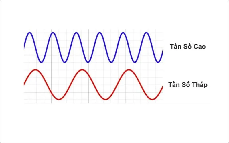 Tần số âm là một đại lượng chủ yếu quyết định đến cao độ