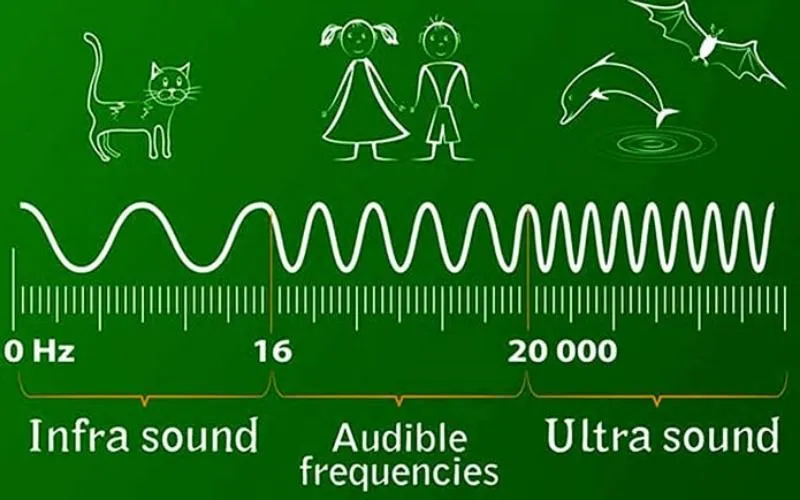 Siêu âm và hạ âm