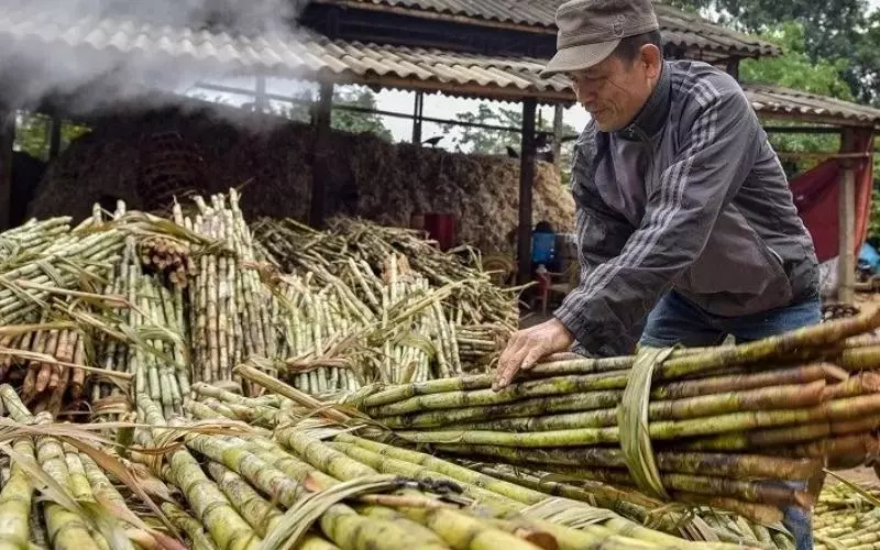 Lọc nước mía bằng máy ép