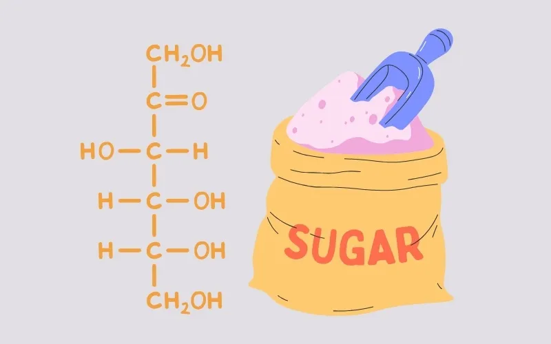 Saccarozo được điều chế (sản xuất) từ cây mía, củ cải đường hoặc hoa thốt nốt