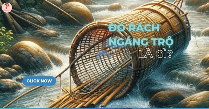 Đó rách ngáng trộ là gì?