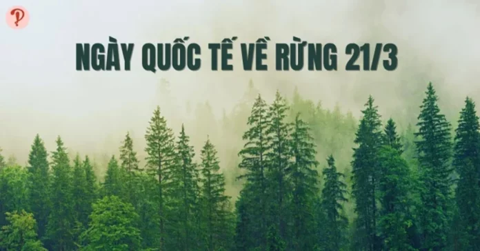 ngày quốc tế về rừng