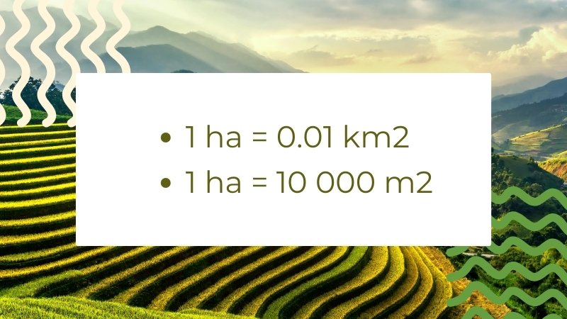 1 ha bằng bao nhiêu km2, m2?