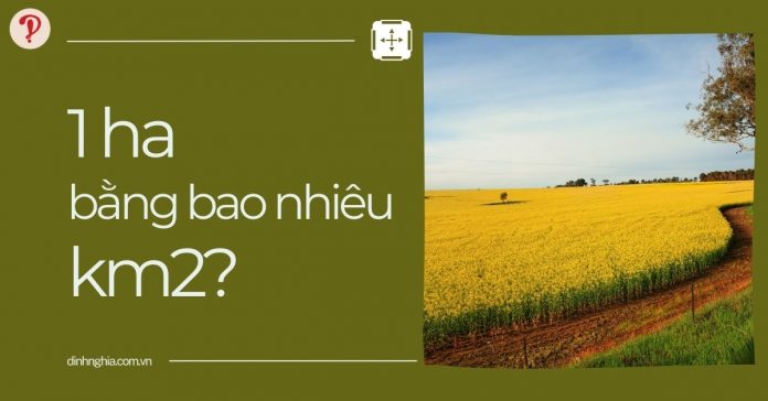 1 ha bằng bao nhiêu km2, m2? Cách đổi đơn vị hecta (ha) dễ dàng