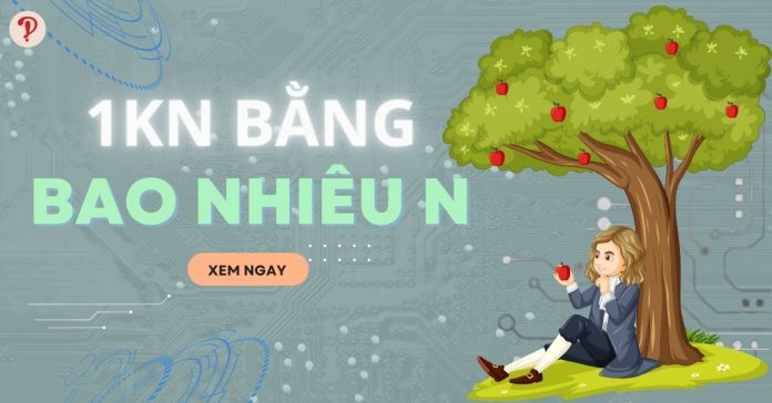 1 kn bằng bao nhiêu n