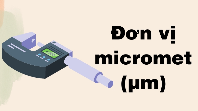 Đơn vị micromet (µm)