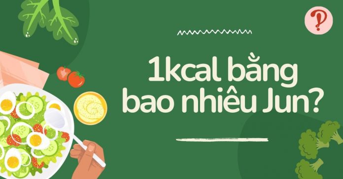 1kcal bằng bao nhiêu Jun? Quy đổi từ kcal sang J bằng công cụ