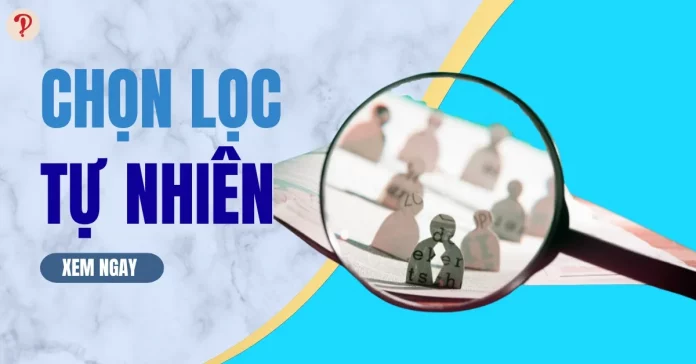 Chọn lọc tự nhiên