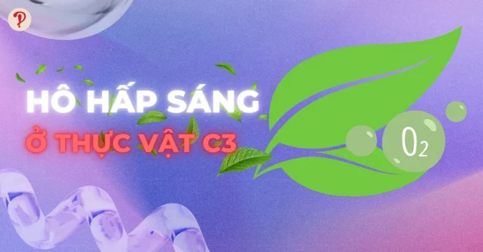 Hô hấp sáng ở thực vật c3