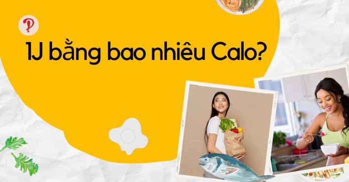 1J bằng bao nhiêu Calo? Đổi đổi Jun sang Calo nhanh và chi tiết