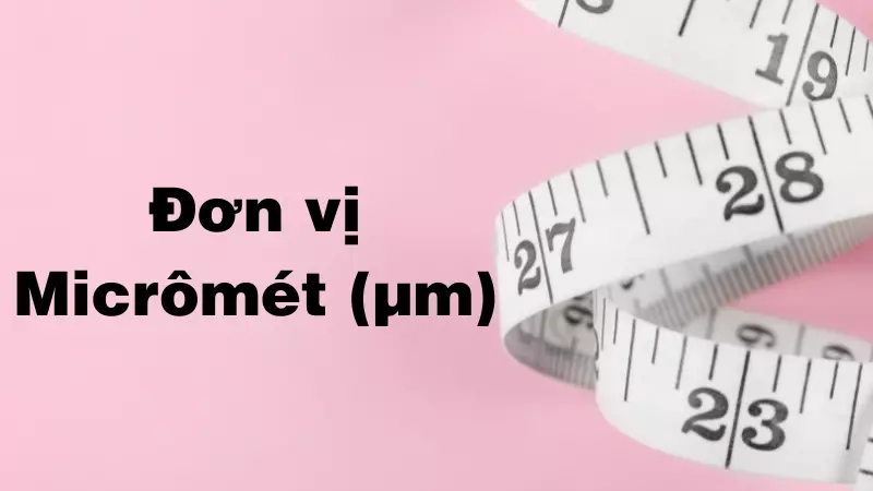 Đơn vị micromet (µm)